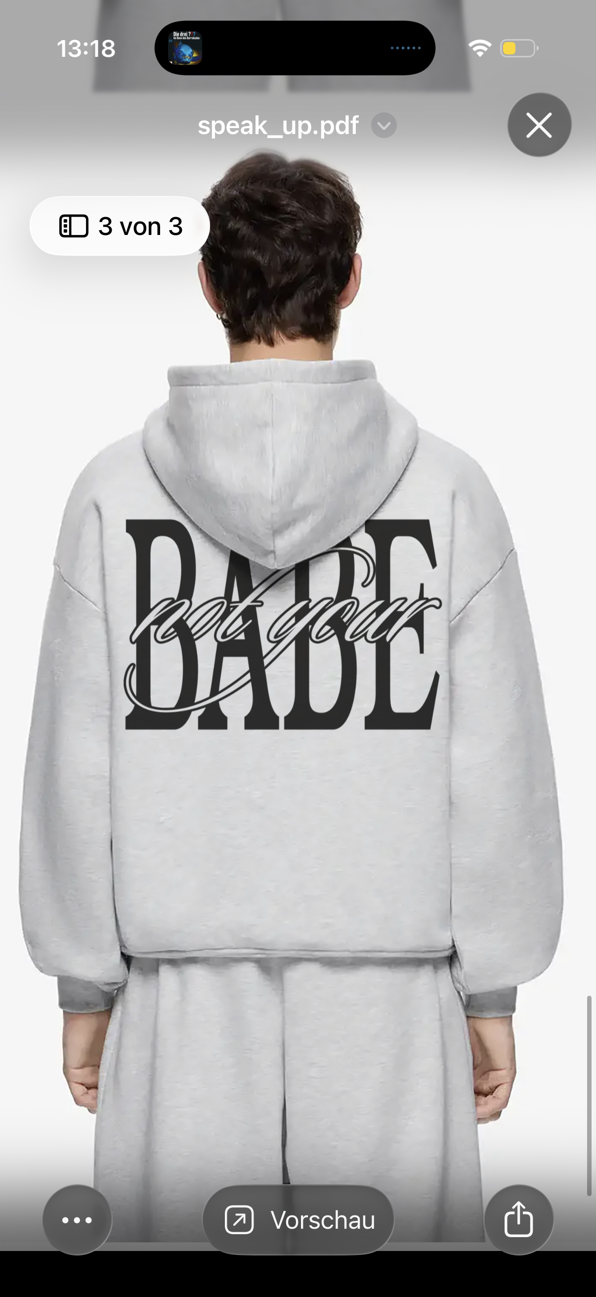not your babe hoodie hinten