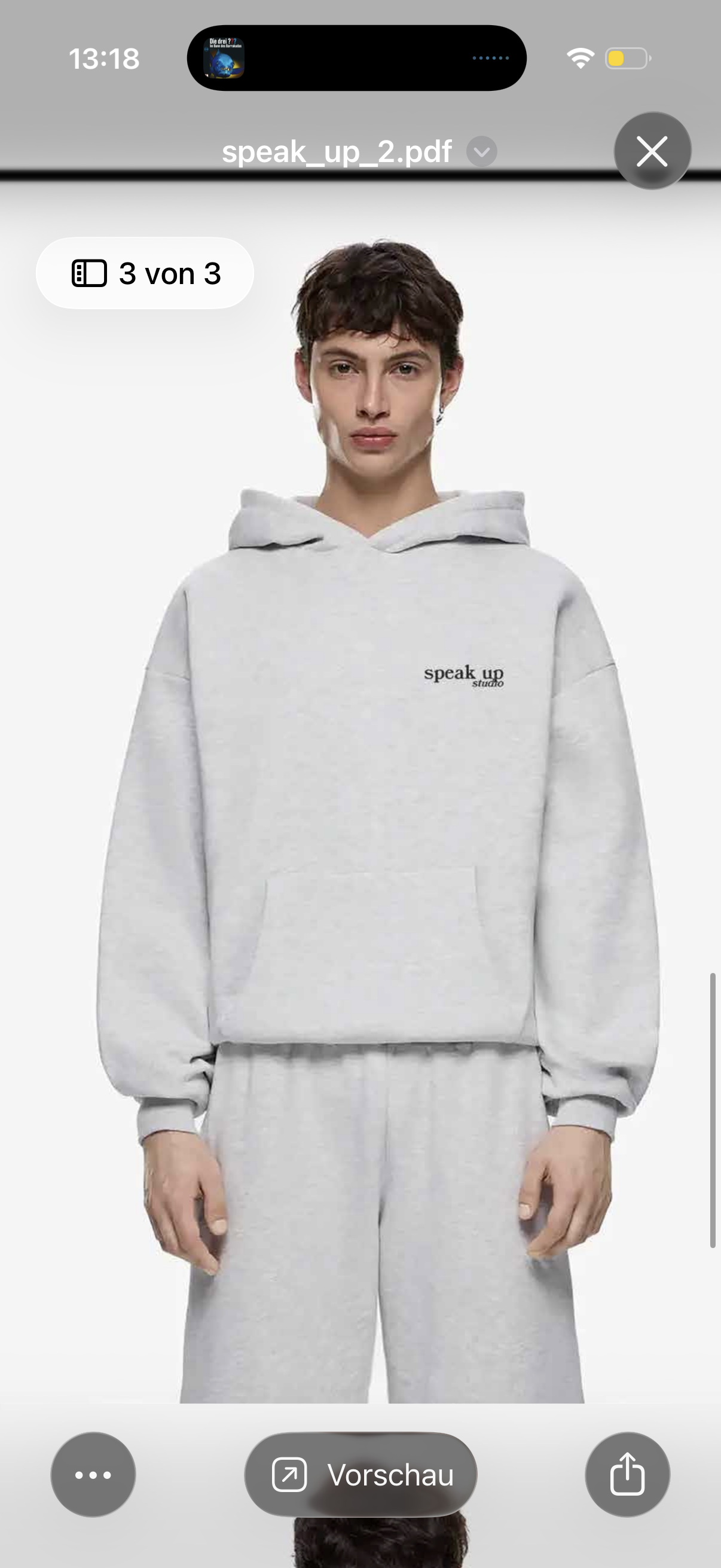not your babe hoodie vorne